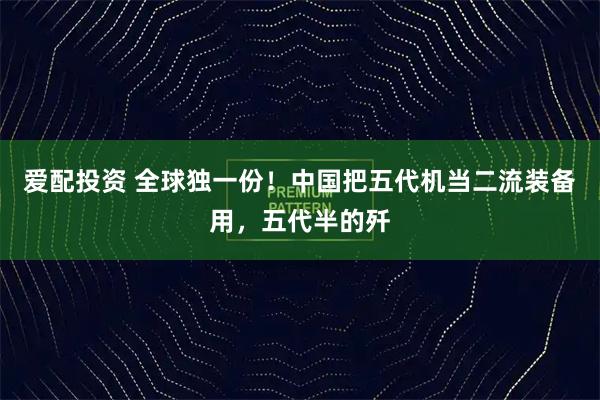 爱配投资 全球独一份！中国把五代机当二流装备用，五代半的歼