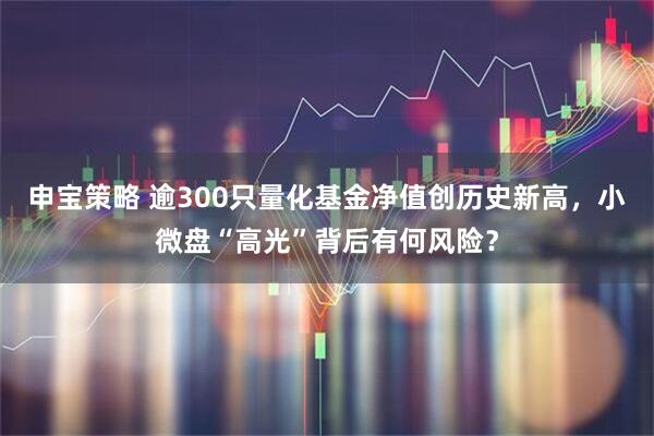 申宝策略 逾300只量化基金净值创历史新高，小微盘“高光”背后有何风险？