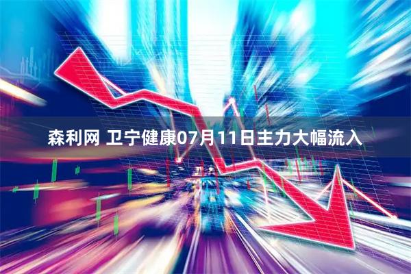 森利网 卫宁健康07月11日主力大幅流入